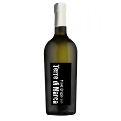 Вино біле сухе Terre di Marca 'Pinot Grigio' органічне 0,75 л
